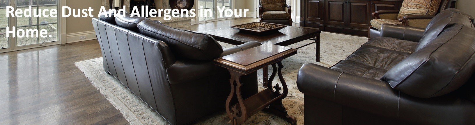 educe Dust and Allergens in Your Home