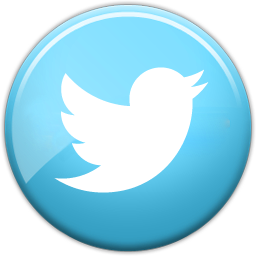 follow us on twitter